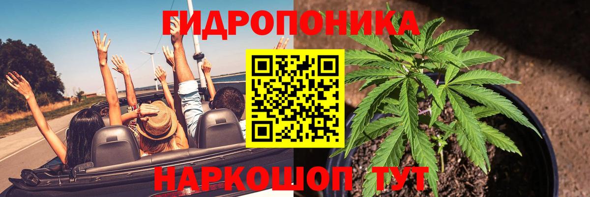 Конопля AK-47  Бошки Шишки ГИДРОПОН  Оренбург  Вход с VPN 